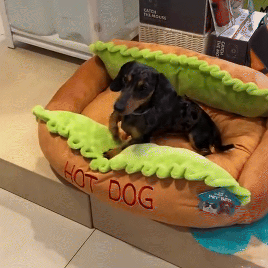 Hot Dog Köpek Yatağı