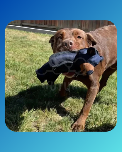 Parçalanamaz Köpek Çiğneme Oyuncağı