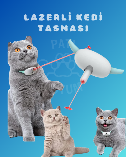 Lazerli Kedi Tasması