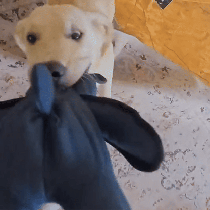 Parçalanamaz Köpek Çiğneme Oyuncağı